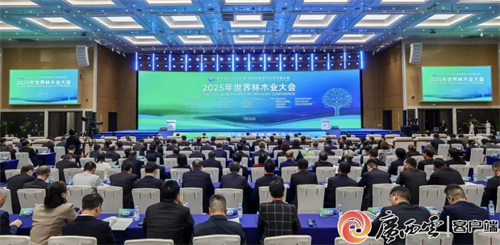 2025年世界林木業(yè)大會暨2025年廣西國際林產(chǎn)品及木制品展盛大舉辦